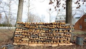 Scroll through the pictures and click on a piece of wood that looks familiar to access more information about the wood. The Best And Worst Trees For Firewood Hobby Farms