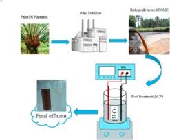 Treating wastewater of palm oil mill effluent (pome) presentation. Post Treatment Of Palm Oil Mill Effluent Using Electro Coagulation Peroxidation Ecp Technique Sciencedirect
