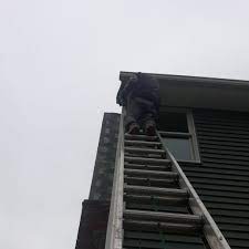 Your pest problem, gone for good, guaranteed. Top 10 Best Pest Exterminators In Tenafly Nj Angie S List