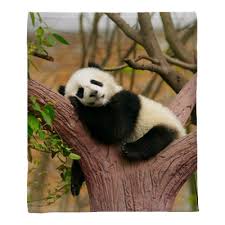 A wide variety of panda blankets options are available to you, such as technics, material, and use. Sleeping Giant Panda Baby Plush Blanket Pixers We Live To Change