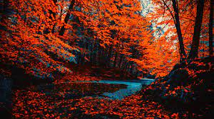We did not find results for: 70 Desktop 4k Wallpaper 2021 Free Download