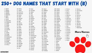 We bring to you a list of names that you can select and choose from! Dog Names That Start With B For Girl And Boy Dog
