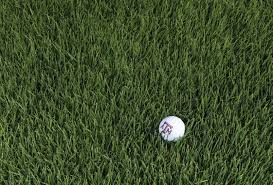 We did not find results for: Transition Time Golf Course Industry