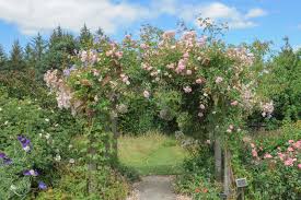 Check spelling or type a new query. Cottage Garten Gestaltungsideen Im Englischen Stil
