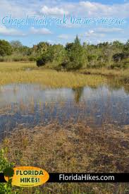 Begin your outing on the robin's trail, which will immediately help you to leave the urban life behind. Chapel Trail Nature Preserve Pembroke Pines Florida Hikes
