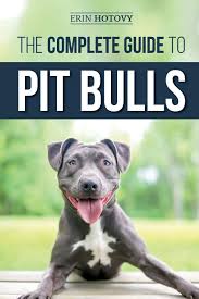 Pinayamerican published november 12, 2020 341 rumble — this vedio is showing you how we feed this foster puppies.they are from rescue center. The Complete Guide To Pit Bulls Finding Raising Feeding Training Exercising Grooming And Loving Your New Pit Bull Dog Hotovy Erin 9781794682627 Amazon Com Books