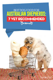 best dog food for australian shepherds 7 vet recommended brands