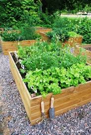 Hyotypuutarha Tradgard Plantering Mit Bildern Garten Landschaftsbau Kleiner Hinterhof Landschaftsbau Gemusehochbeet