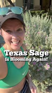 Parker Beaty's Instagram, Twitter & Facebook