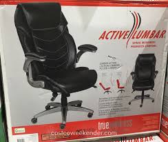 True Innovations True Wellness Active Lumbar Chair Costco Weekender
