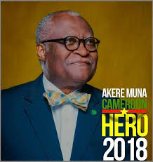 I Ran For President In Cameroon,Here's What I Learnt