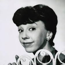 Watch The Dick Van Dyke Show (1961) TV Series Free Online