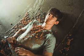 Sarasota to be exact, though he was born in new jersey. Albert On Twitter Stuck In The Bean Sewer