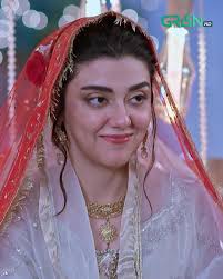 Gulsha Ki Bat Sun Lo: Discover Green TV Entertainment