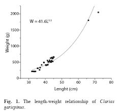Age Growth And Mortality Of Clarias Gariepinus