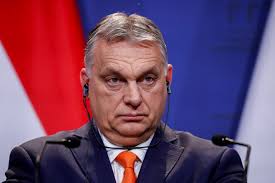 He looked at the landscape of voters, and allied himself with groups who, in a truly orban and his fidesz was simply the only alternative to them. Orban Extends Dominance Through Hungarian University Reform Reuters
