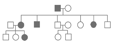 By enabling player identifier, you'll know the real person behind the nickname in your game. Http Www Hamilton Local K12 Oh Us Downloads Pedigree 20practice 20problems Pdf