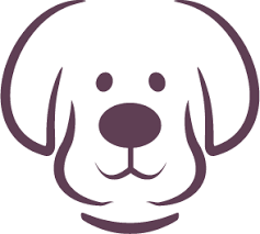 Woofinwaggle Dog Wash Dog Grooming Dog Boutique Raleigh All about pets does such an awesome job! woofinwaggle dog wash dog grooming