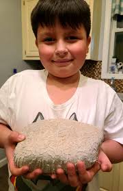 Cleaning coral with muriatic acid