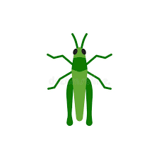 Cricket trophy png cricket vector png cricket batting logo png cricket ball vector png cricket stump png cricket bat and ball png. Cartoon Cricket Insect Stock Illustrations 739 Cartoon Cricket Insect Stock Illustrations Vectors Clipart Dreamstime
