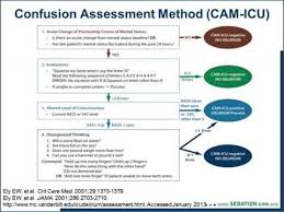 Image result for CAM-ICU