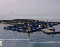 Aquatec Keramba Jaring Apung Kja Hdpe Aquatec Perusahaan Terlengkap Untuk Peralatan Kelautan Dan Perikanan Buatan Anak Bangsa Dermaga Perahu Tenggelam