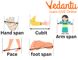 Image result for Arm Span