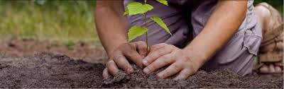 Pemanasaan global (global warming) atau sekarang lebih dikenal sebagai perubahan iklim global (climate change) adalah memanasnya iklim bumi secara umum. Pemanasan Global Pengertian Penyebab Dampak Cara Mengatasi