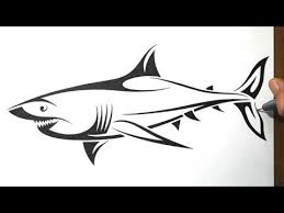 How To Draw A Shark Tribal Tattoo Design Style Shark Tattoos Tribal Shark Tattoos Tribal Tattoos