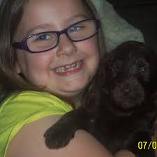 Welcome to ireigold golden retrievers proud to now be an official akc breeder of merit. Heart Of Gold Kennel Home Facebook