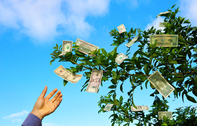 Money Doesn't Grow on Trees | The Reading Room
