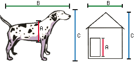 The Complete Guide To Dog House Sizes With Formulas