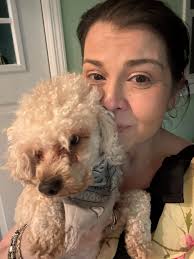 Lost dog Marshall found near Manor Drive