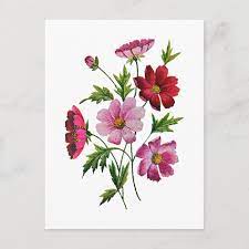 Pin On Cross Stitch Designs
