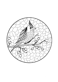 Download Cardinal On Branch Adult Coloring Page Thriftyfun