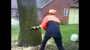 Check spelling or type a new query. Baumfallung Geht Schief Youtube