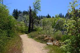 Maybe you would like to learn more about one of these? 58 Campgrounds In San Bernardino National Forest Over 30 Campsites Nearby