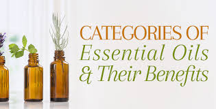 Categories Of Essential Oils Their Benefits Families Notes