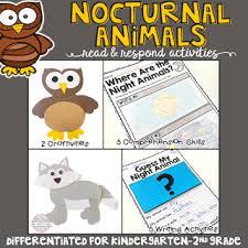 Child can play independently or with an adult. 12 Nocturnal Animal Books For Kids With Teaching Ideas Mrs Plemons Kindergarten