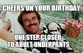 Pin On Funny Birthday Memes