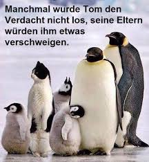 Weitere ideen zu lustige bilder, lustig, witzig. á… Lustiges Bilder Lustiges Gb Pics Gbpicsonline