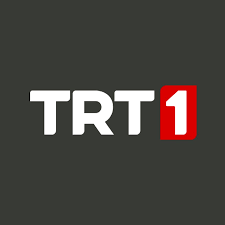 After being diagnosed with low testosterone in spring 2014, i finally understood the laundry list of problems that had baffled me for most of my. Trt 1 Youtube