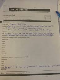 Solved Name Pre Lab Exercises Complete The Following Chegg Com
