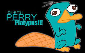 Follow us for regular updates on awesome new wallpapers! Perry The Platypus Wallpapers Wallpaper Cave