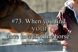 Once in a lifetime rmx. When You Find Your Once In A Lifetime Horse Horse Equestrian Equestrian Quotes Horse Riding Quotes Horse Quotes