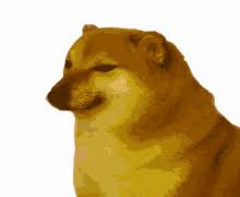 Discover 78 free doge meme png images with transparent backgrounds. Doge Gifs Tenor