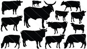 Cow Silhouette Vector Download Cow Vector Silhouette Silhouette Vector Cow Illustration Silhouette Clip Art