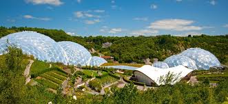 Maybe you would like to learn more about one of these? The Eden Project Sutori