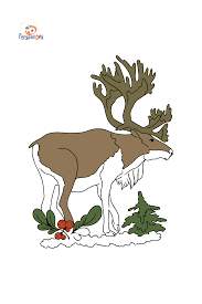 36+ deer antler coloring pages for printing and coloring. Coloring Page With A Deer Free Online