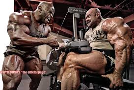 Enjoy and share your favorite beautiful hd wallpapers and background images. Bodybuilding 4k Bodybuilder Tapeten 960x649 Wallpapertip